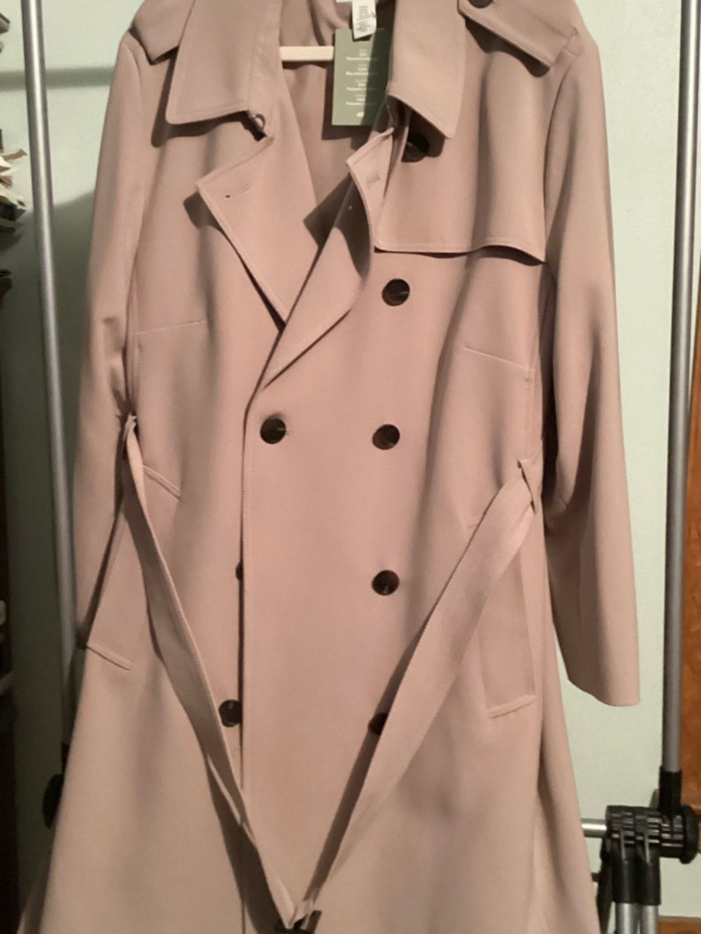 H&M Double-Breasted Trench Coat in Blush